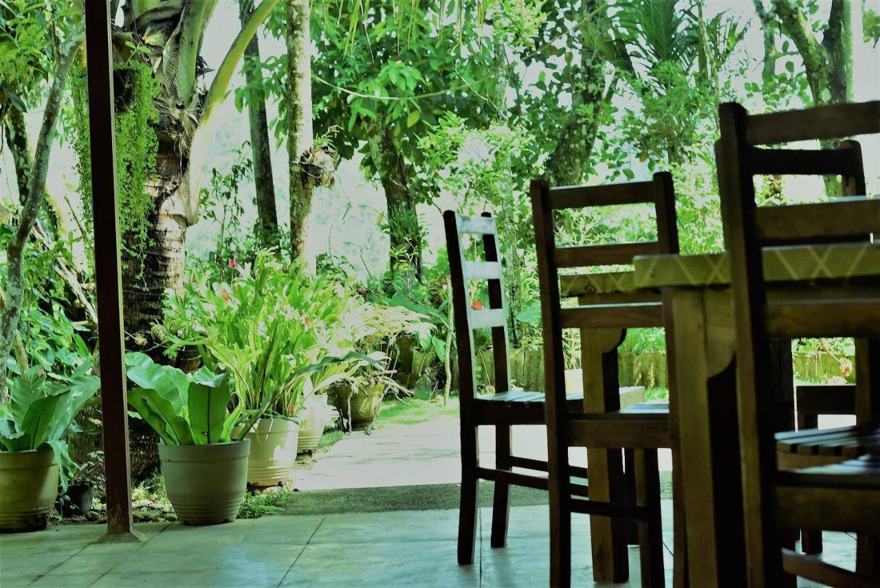 Samadhi Nature Resort Ella Εξωτερικό φωτογραφία