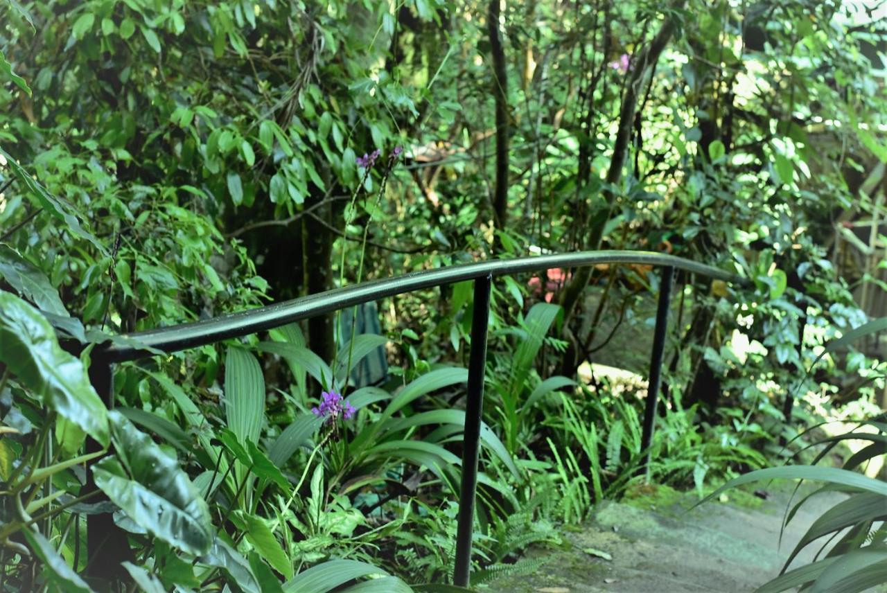 Samadhi Nature Resort Ella Εξωτερικό φωτογραφία