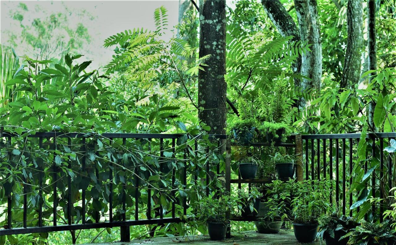 Samadhi Nature Resort Ella Εξωτερικό φωτογραφία