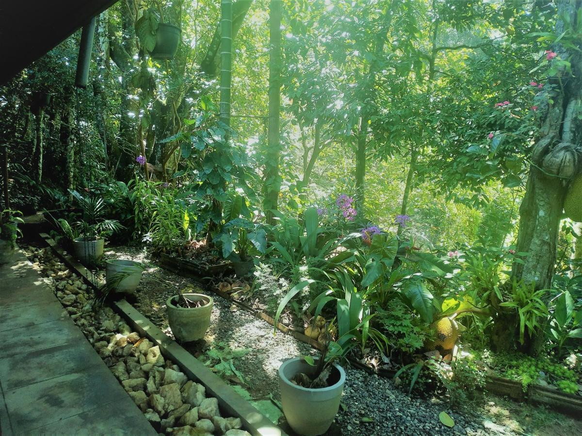Samadhi Nature Resort Ella Εξωτερικό φωτογραφία