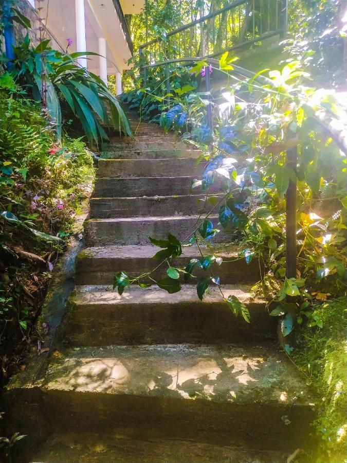 Samadhi Nature Resort Ella Εξωτερικό φωτογραφία