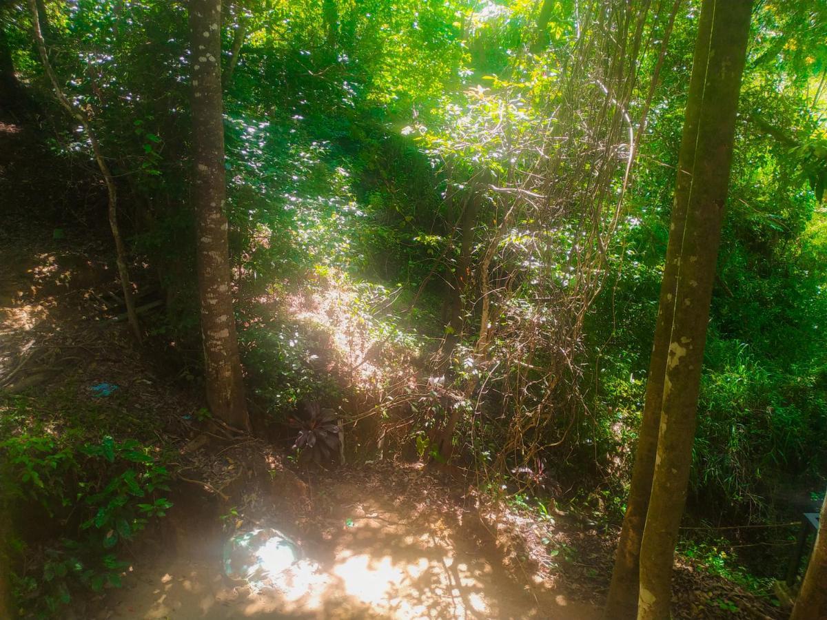 Samadhi Nature Resort Ella Εξωτερικό φωτογραφία