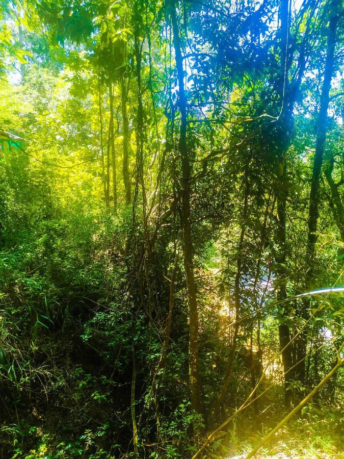 Samadhi Nature Resort Ella Εξωτερικό φωτογραφία