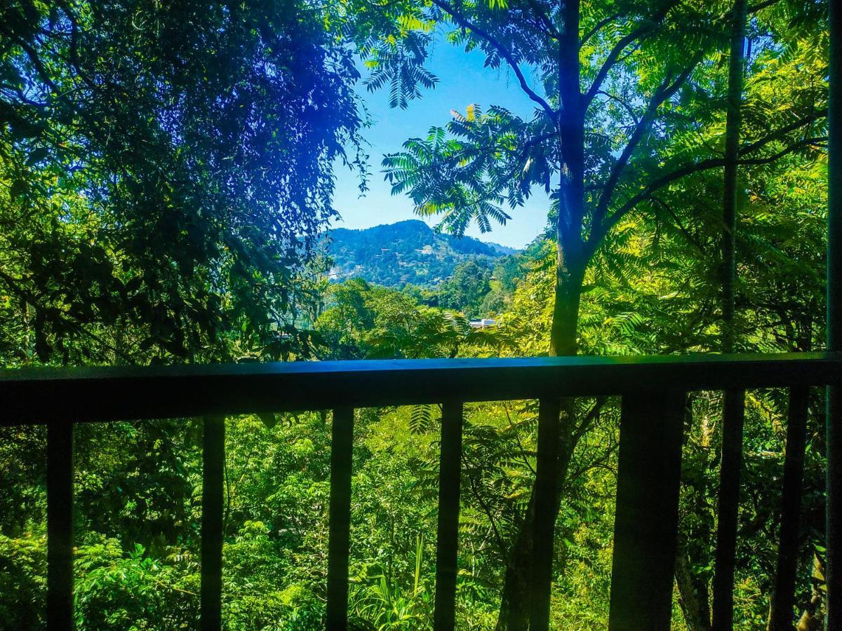Samadhi Nature Resort Ella Εξωτερικό φωτογραφία