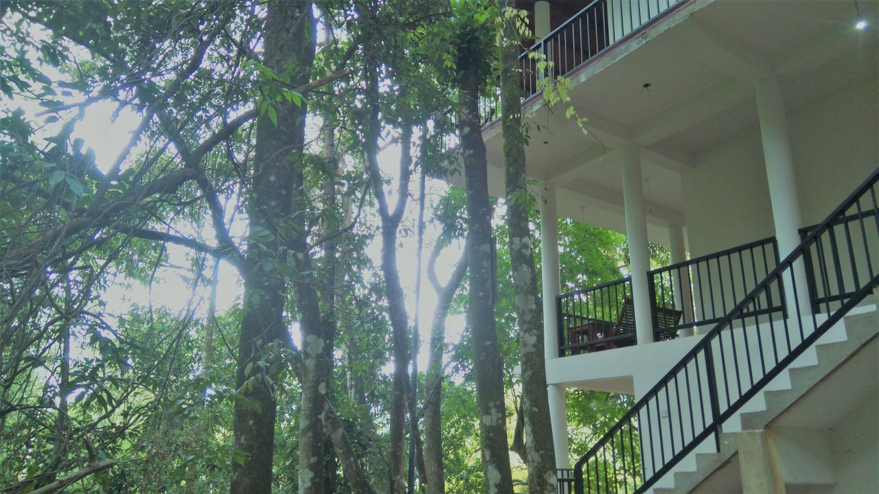 Samadhi Nature Resort Ella Εξωτερικό φωτογραφία
